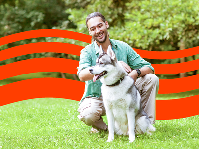 Pet Adoption Statistics and Animal Shelter Facts for 2025